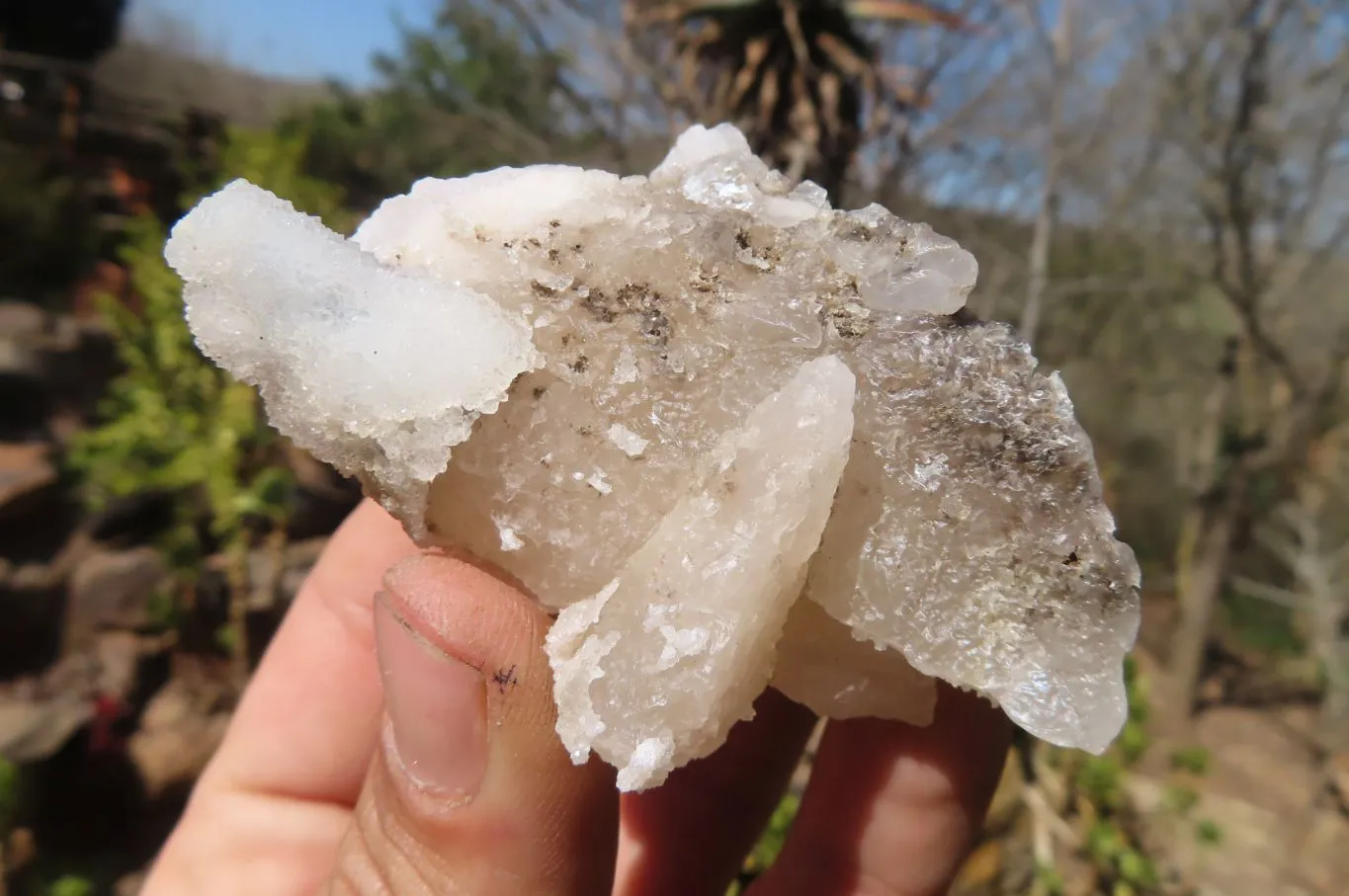 Natural Drusy Quartz Coated Calcite Pseudomorph Specimens x 12 From Alberts Mountain, Lesotho