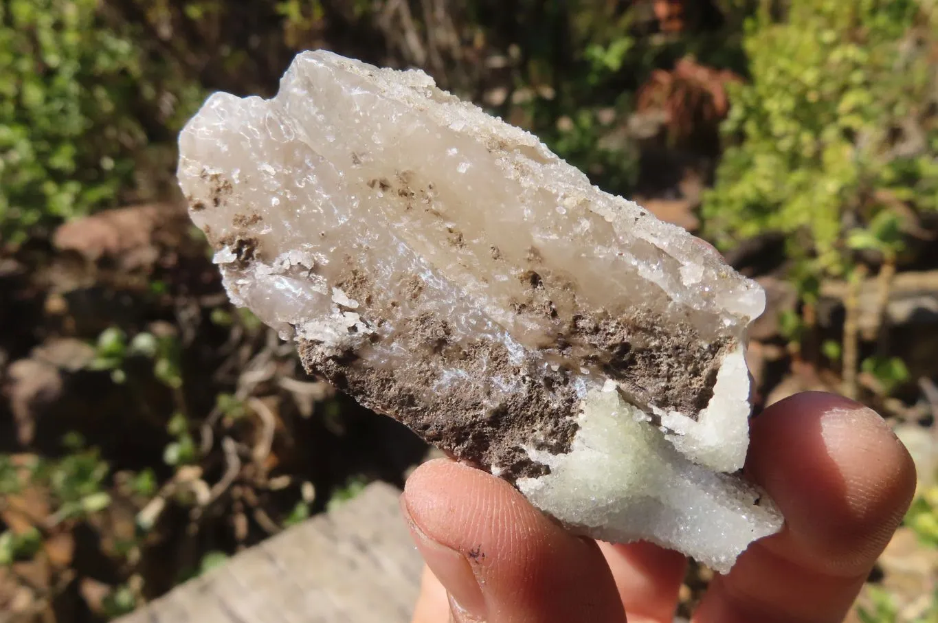 Natural Drusy Quartz Coated Calcite Pseudomorph Specimens x 12 From Alberts Mountain, Lesotho