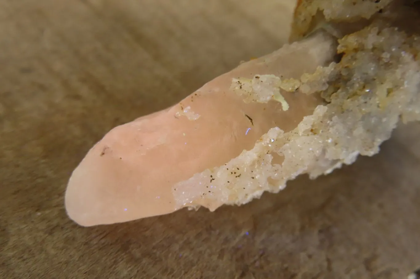 Natural Drusy Quartz Coated Calcite Pseudomorph Specimens x 12 From Alberts Mountain, Lesotho