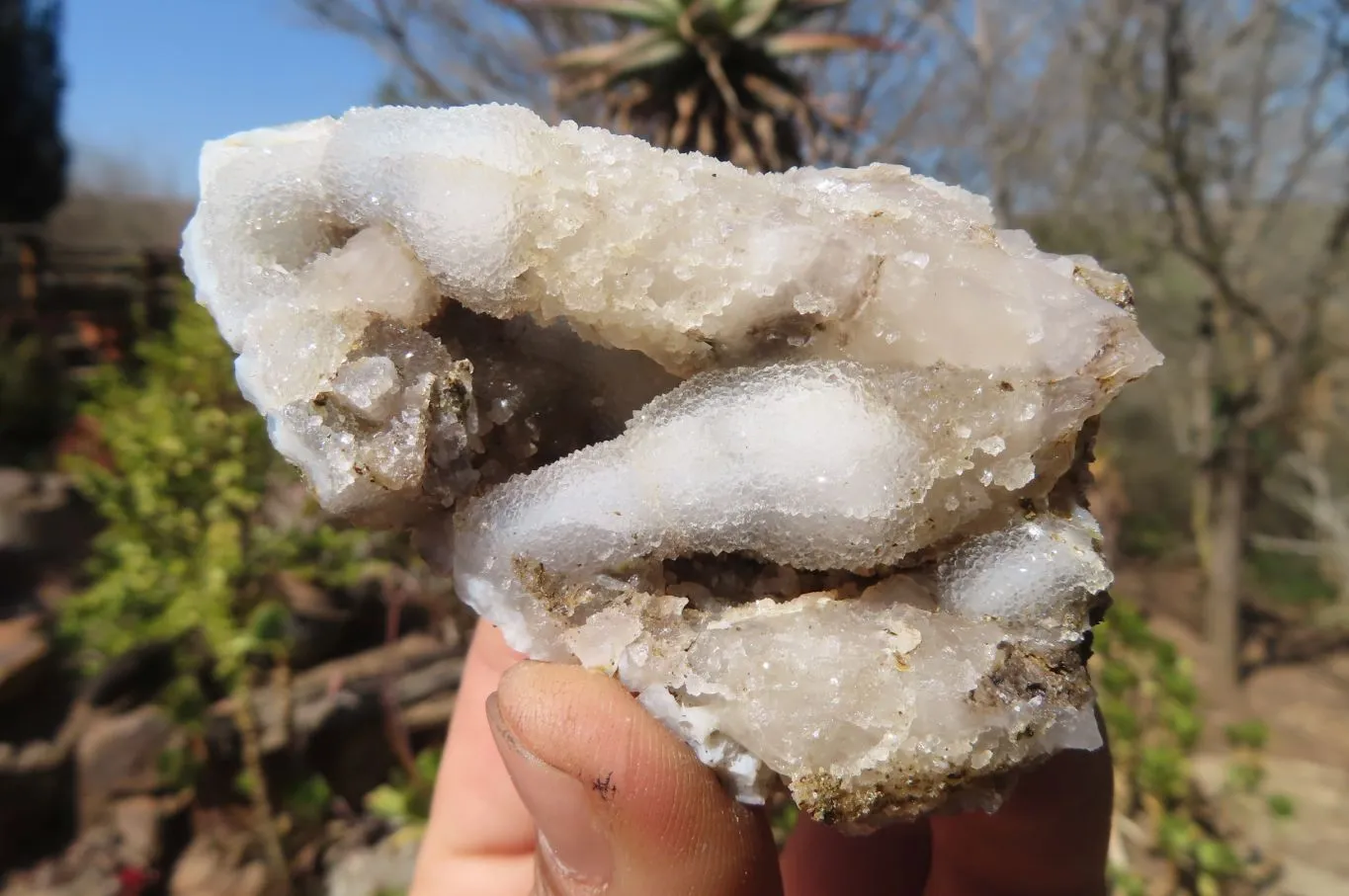 Natural Drusy Quartz Coated Calcite Pseudomorph Specimens x 12 From Alberts Mountain, Lesotho