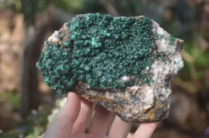 Natural Rare Ball Malachite On Drusy Quartz & Dolomite x 1 From Kambove, Congo