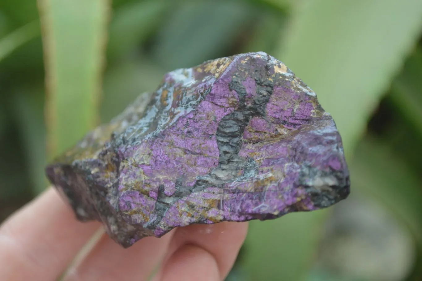 Natural Rare Metallic Purpurite Cobbed Specimens x 6 From Erongo, Namibia