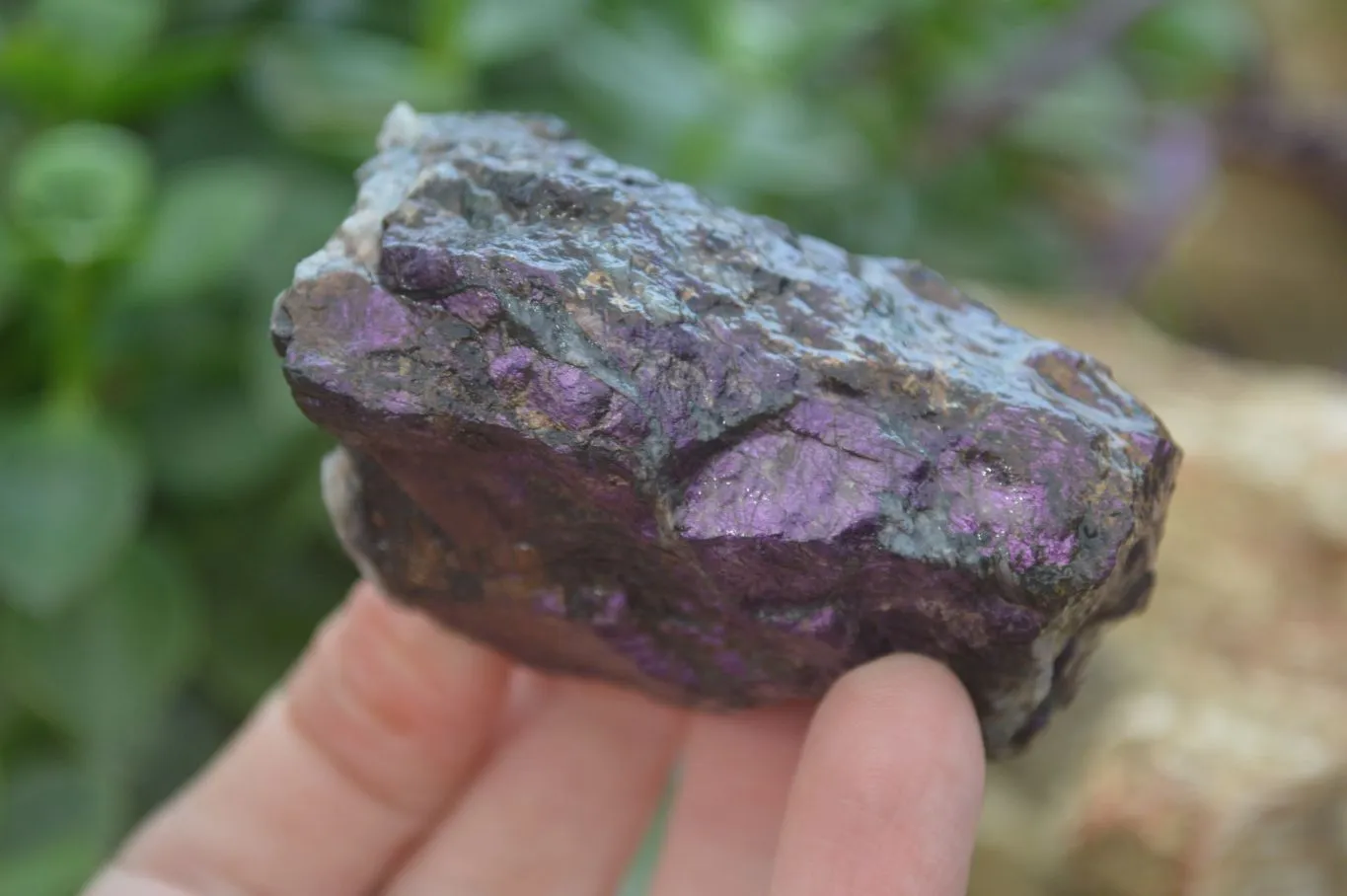 Natural Rare Metallic Purpurite Cobbed Specimens x 6 From Erongo, Namibia