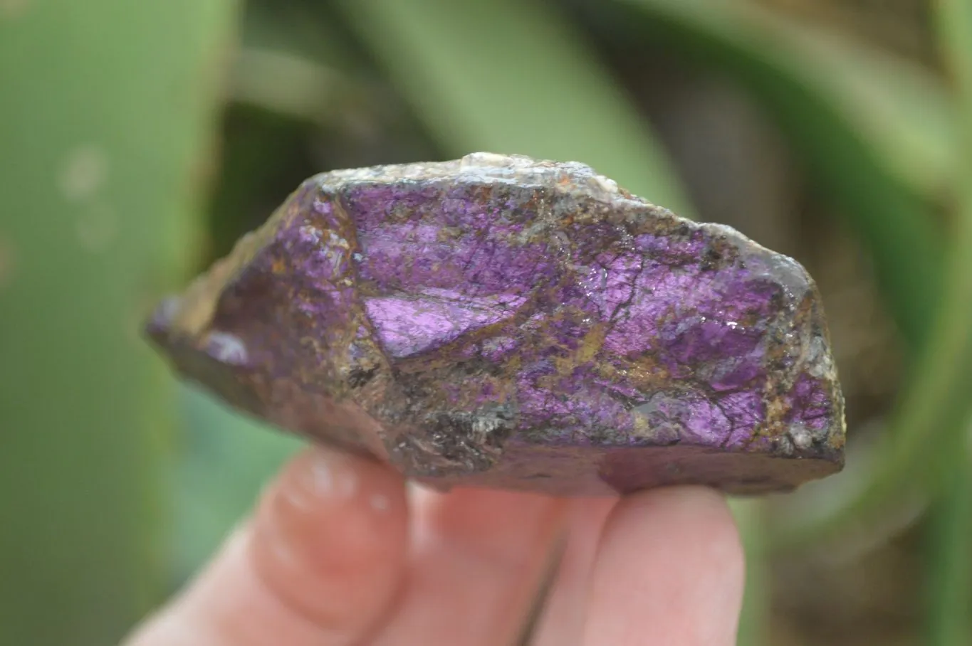 Natural Rare Metallic Purpurite Cobbed Specimens x 6 From Erongo, Namibia