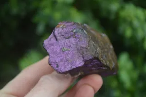 Natural Rare Metallic Purpurite Cobbed Specimens x 6 From Erongo, Namibia