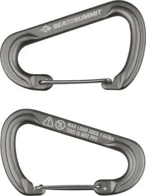 Sea To Summit Large Accessory Carabiner 2-Pack Titanium | Buy Sea To Summit Large Accessory Carabiner 2-Pack Titanium here | Outnorth