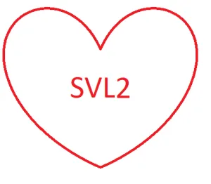 Small Purse - SVL2